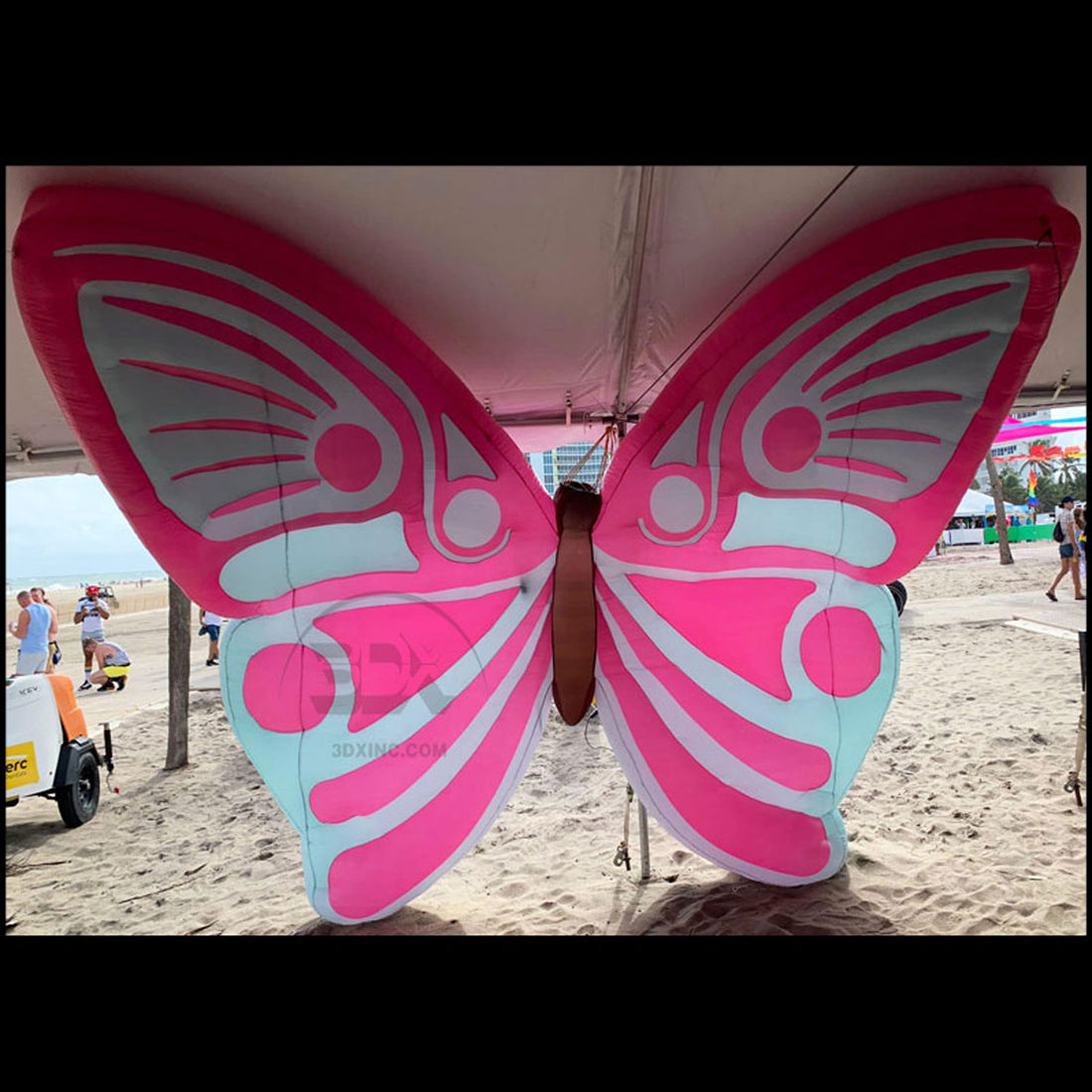 BUTTERFLY - 01