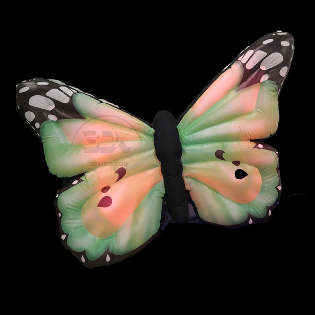 BUTTERFLY - 05