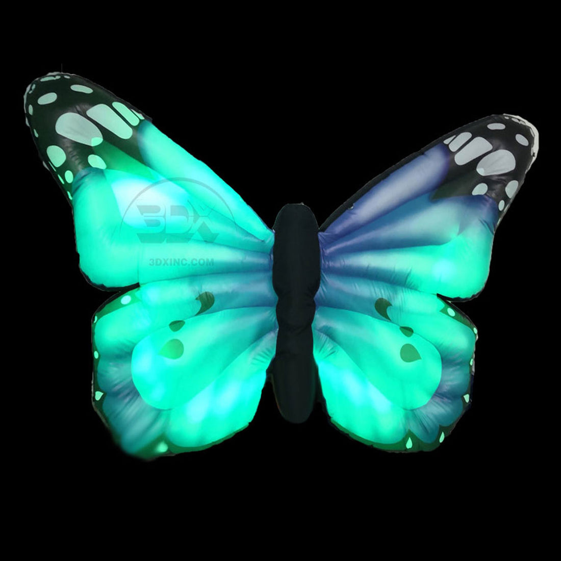 BUTTERFLY - 07