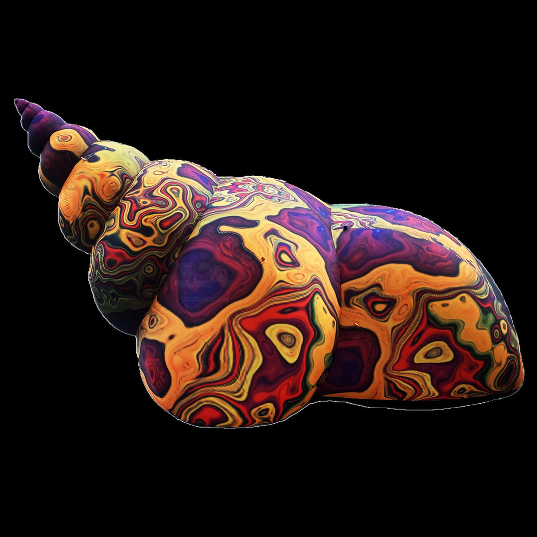 CONCH SHELL - 02