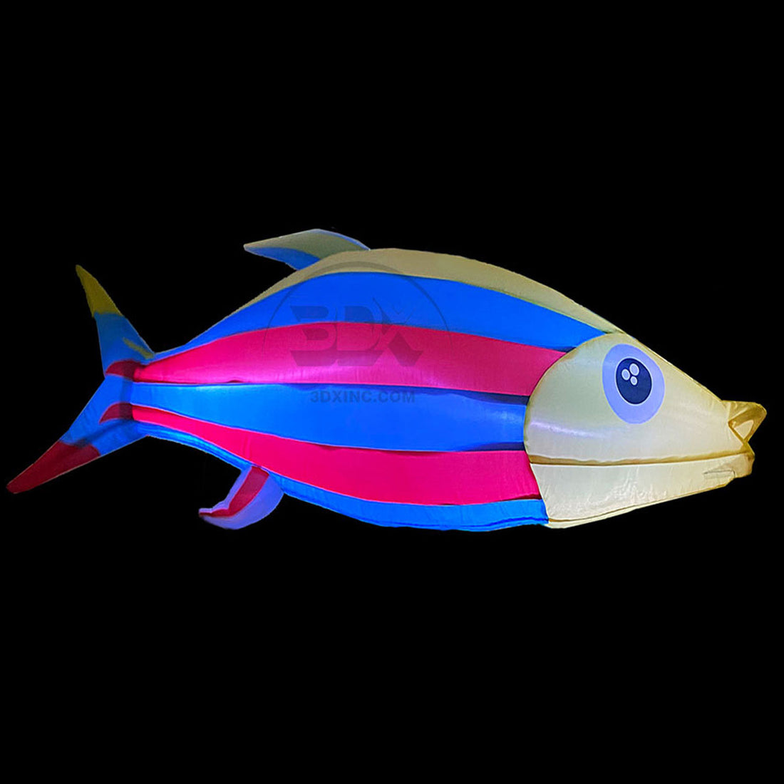 CORAL FISH - 01