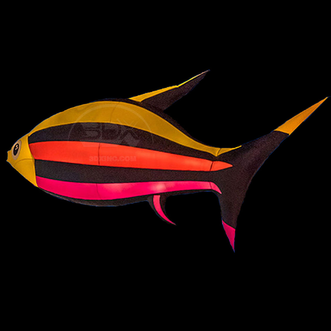 CORAL FISH - 02