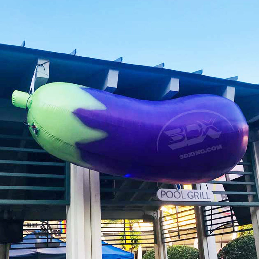 EGGPLANT - 01