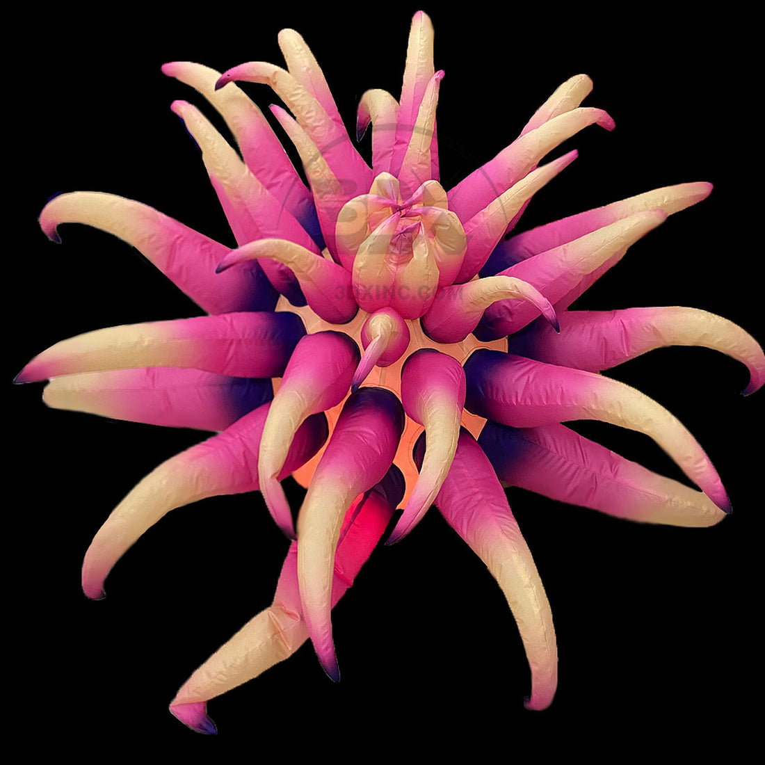 EXOTIC FLOWER - 06