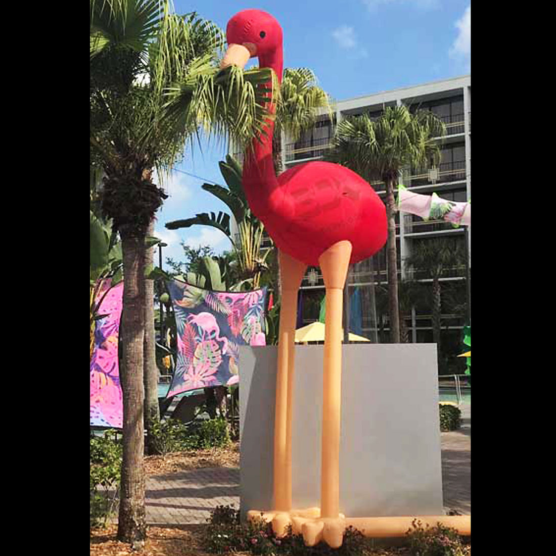 FLAMINGO - 01