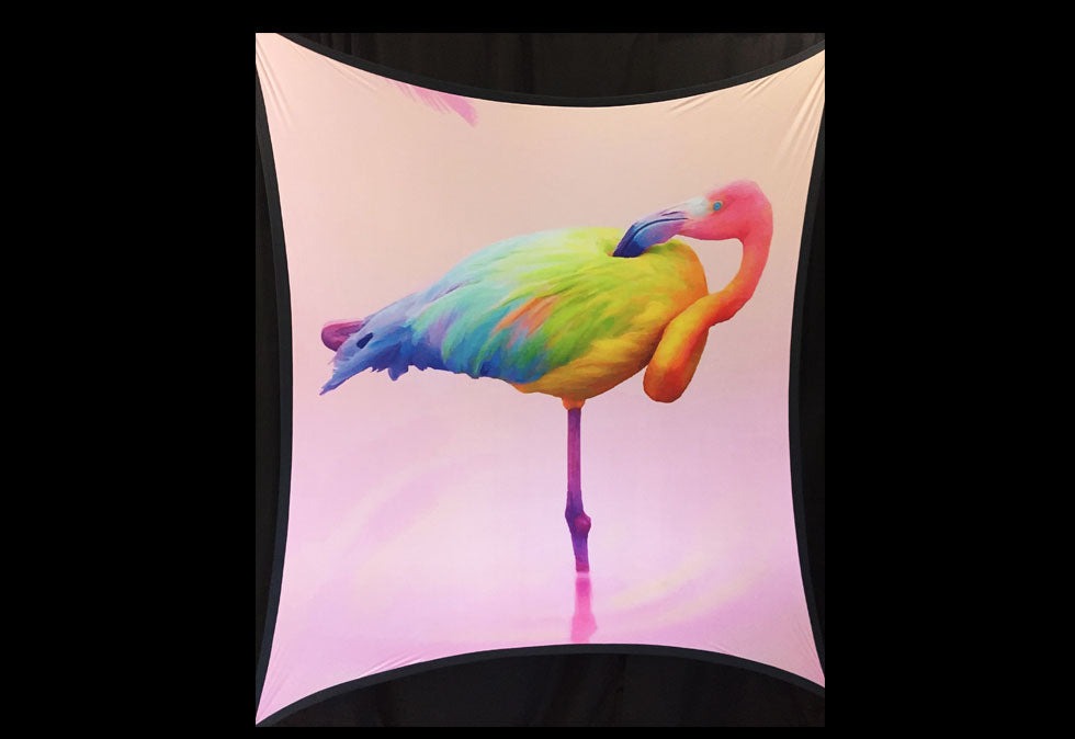 FLAMINGO - 06