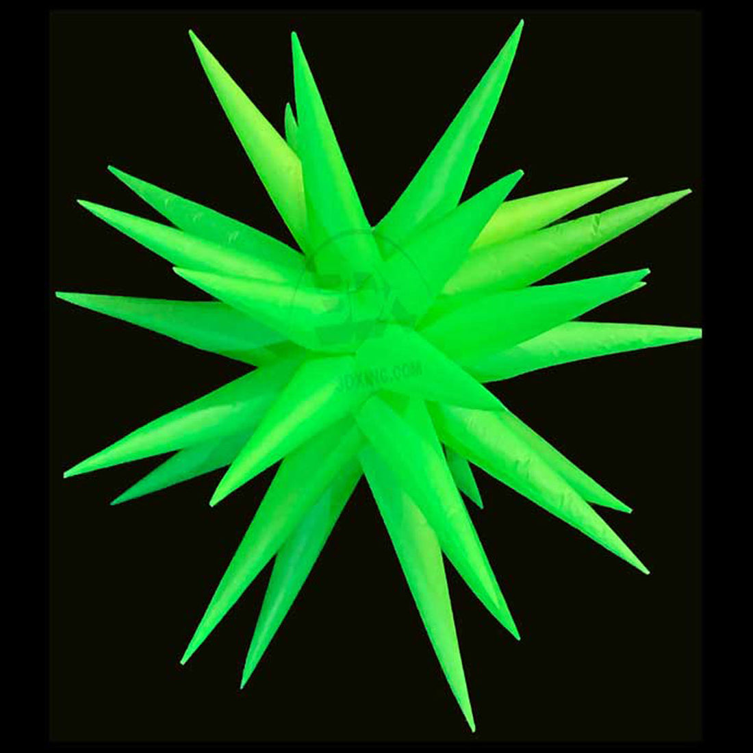 GREEN - 01 - XS