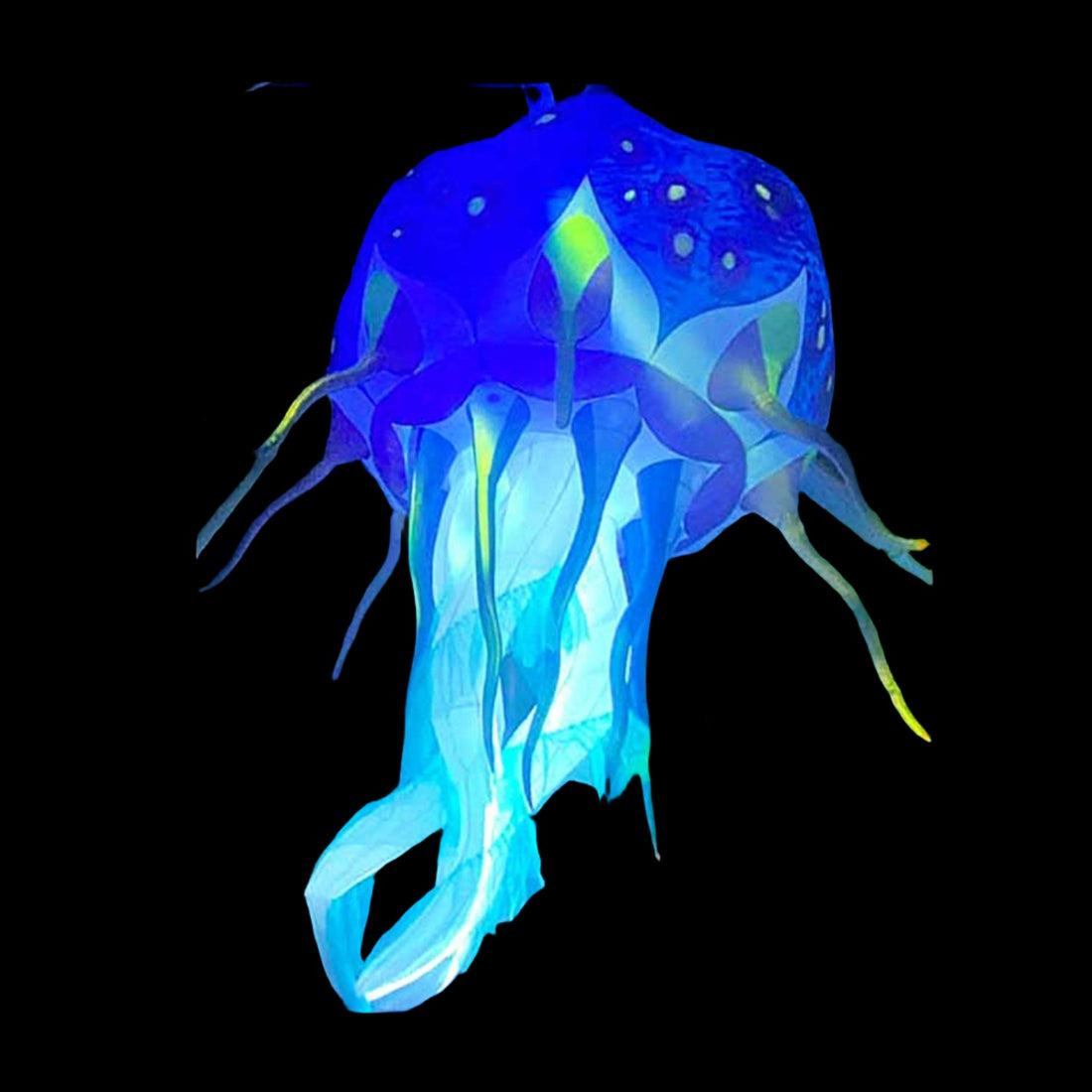 JELLYFISH - 01