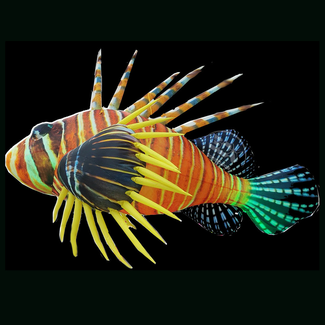 LION FISH - 01