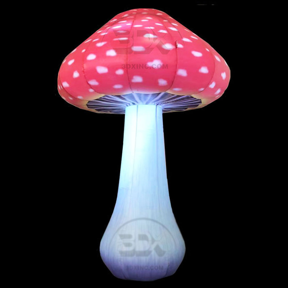 MUSHROOM - 01