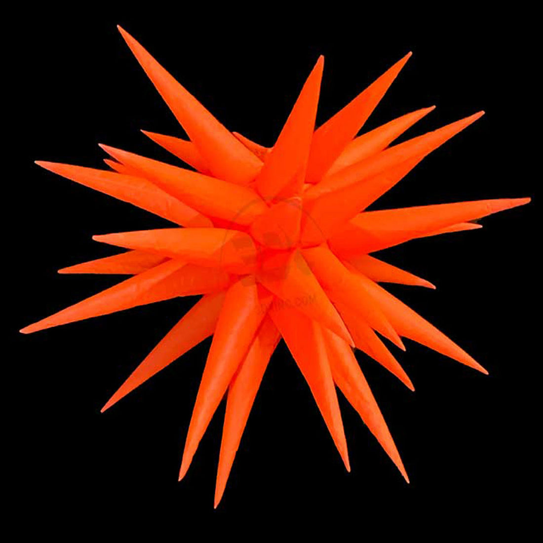 ORANGE - 02 - XS
