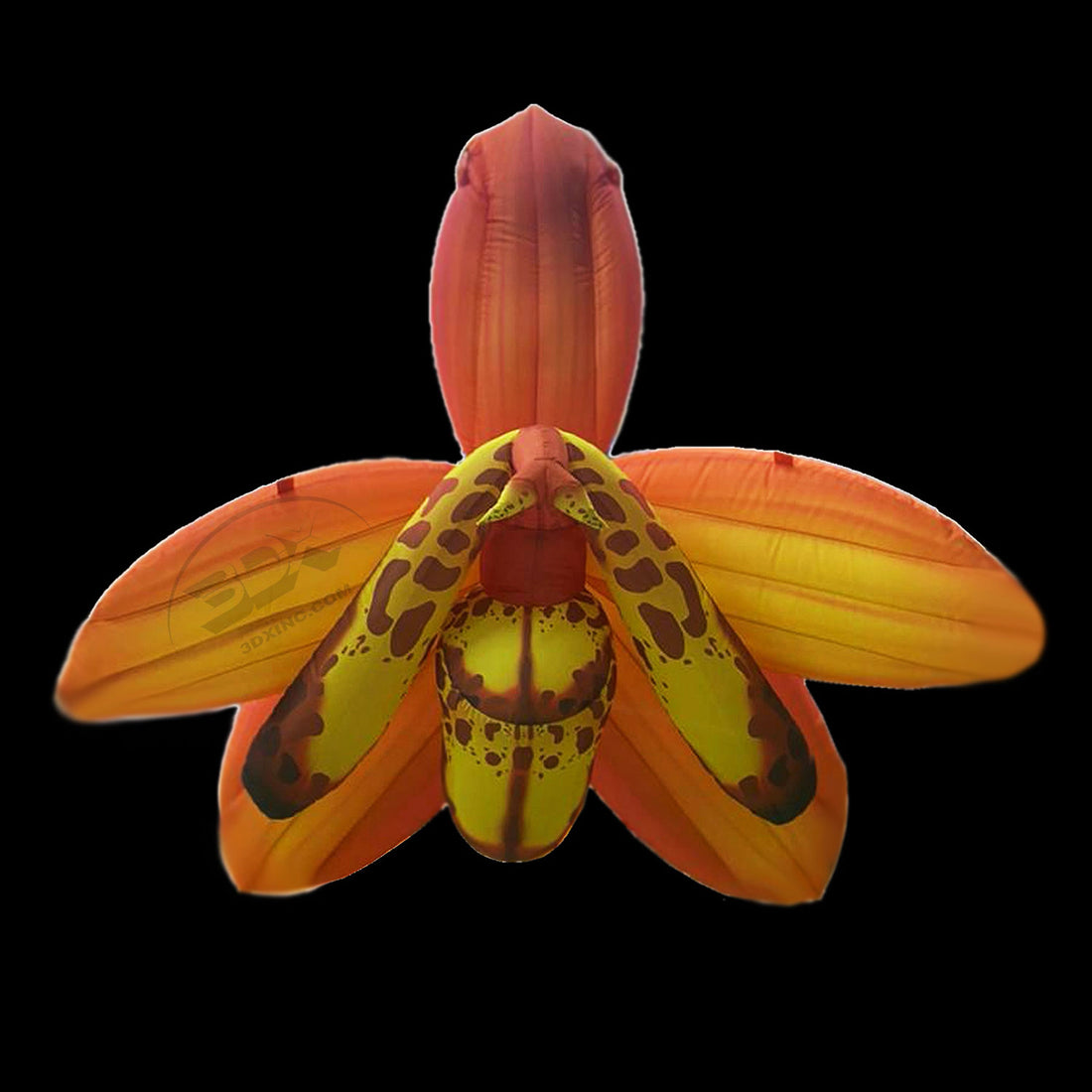 ORCHID - 02