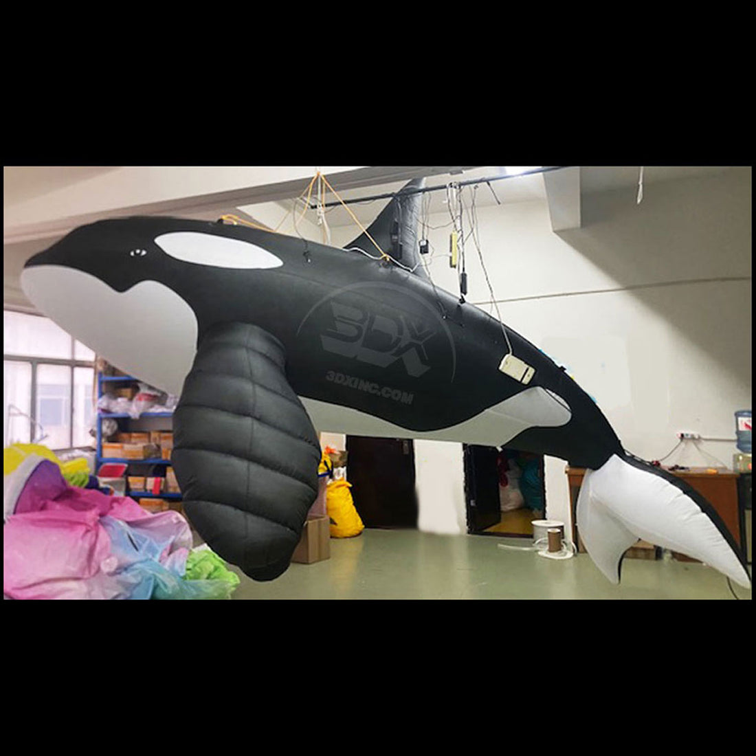 ORCA - 01