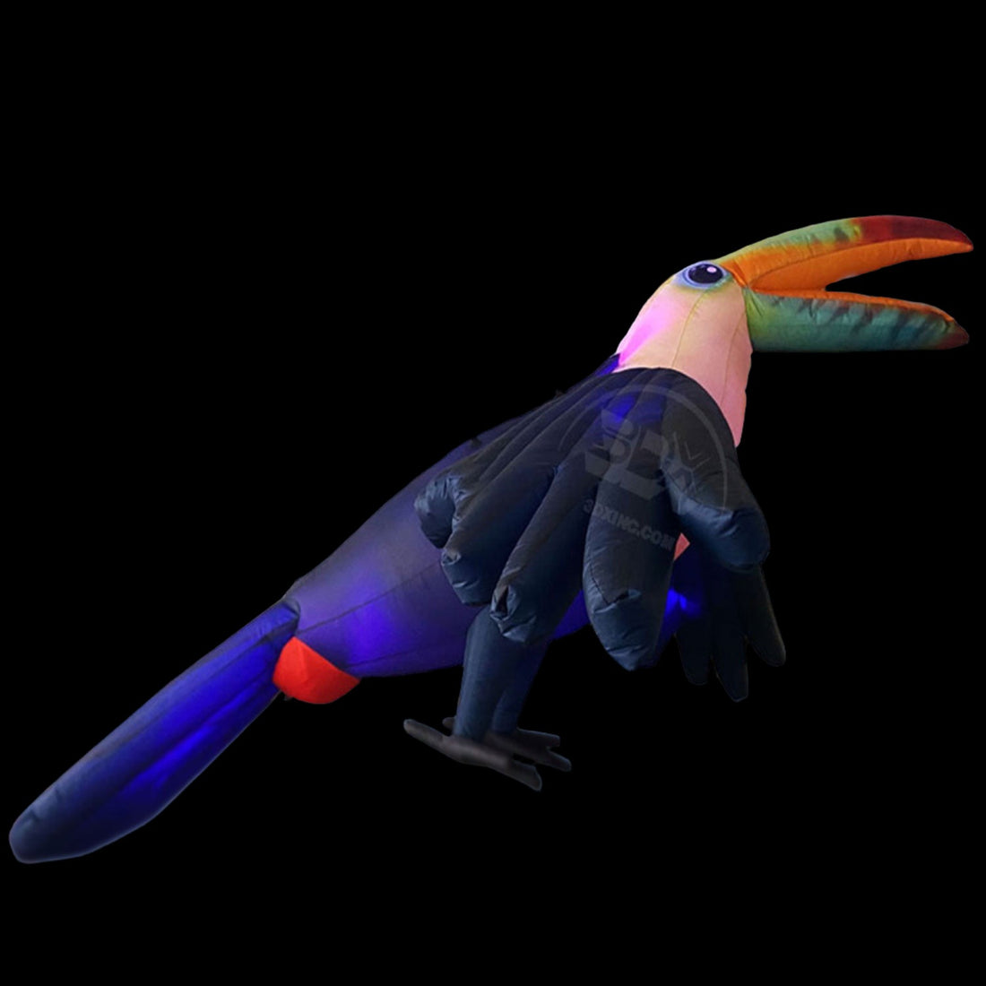 PARROT - 02