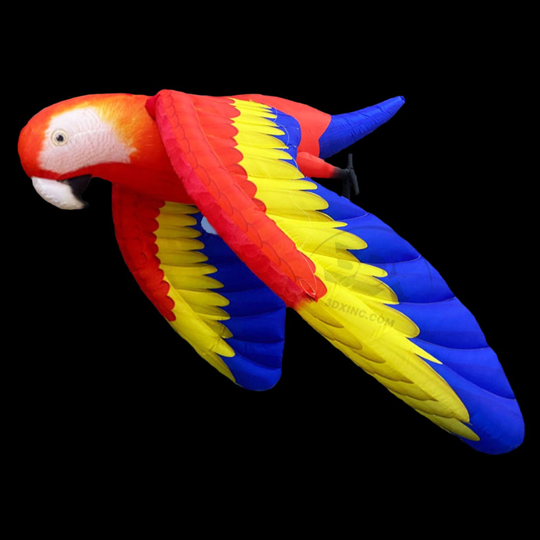 PARROT - 03