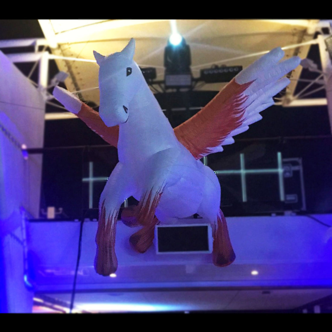 PEGASUS - 01