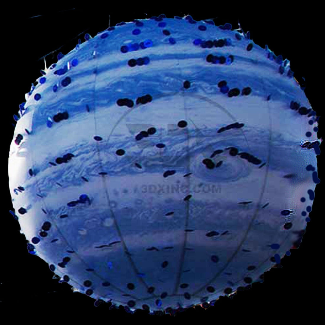 PLANET - 02