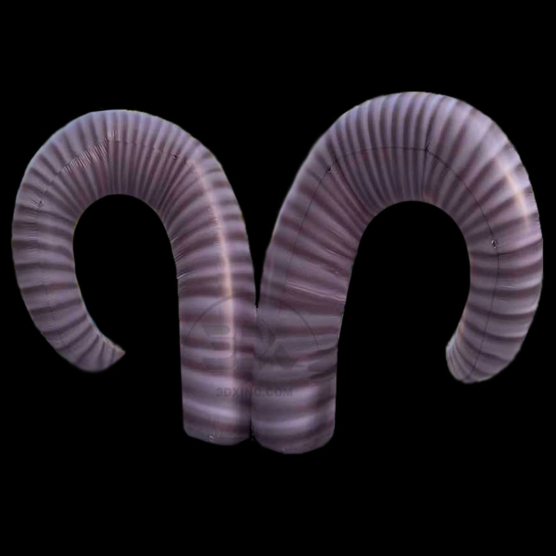 RAM HORNS - 01