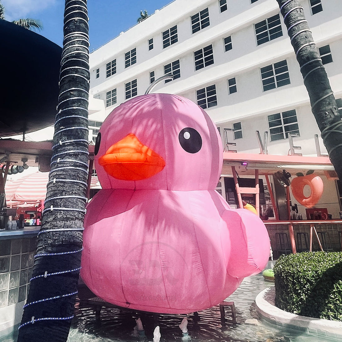 RUBBER DUCK - 02