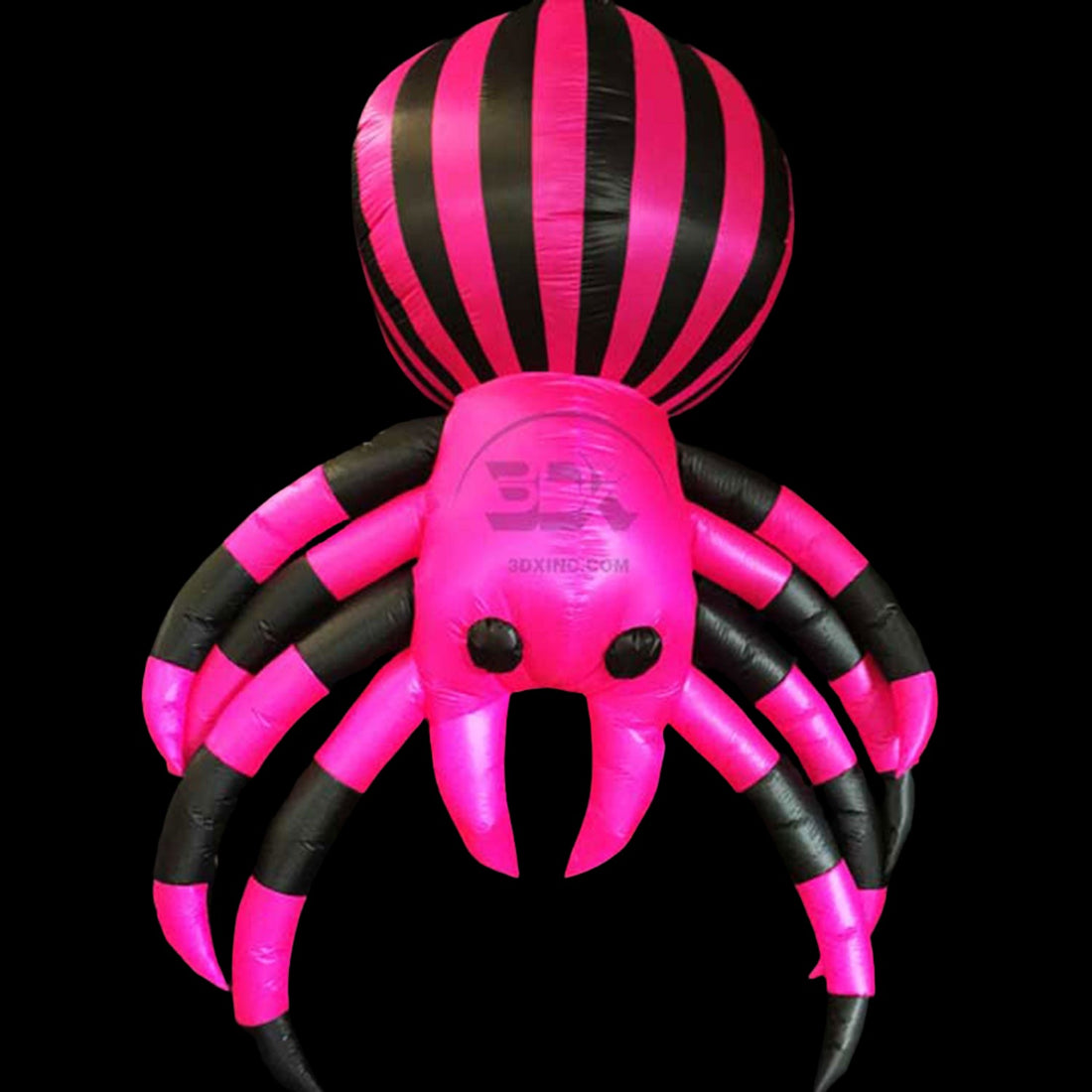 SPIDER - 01 - MED