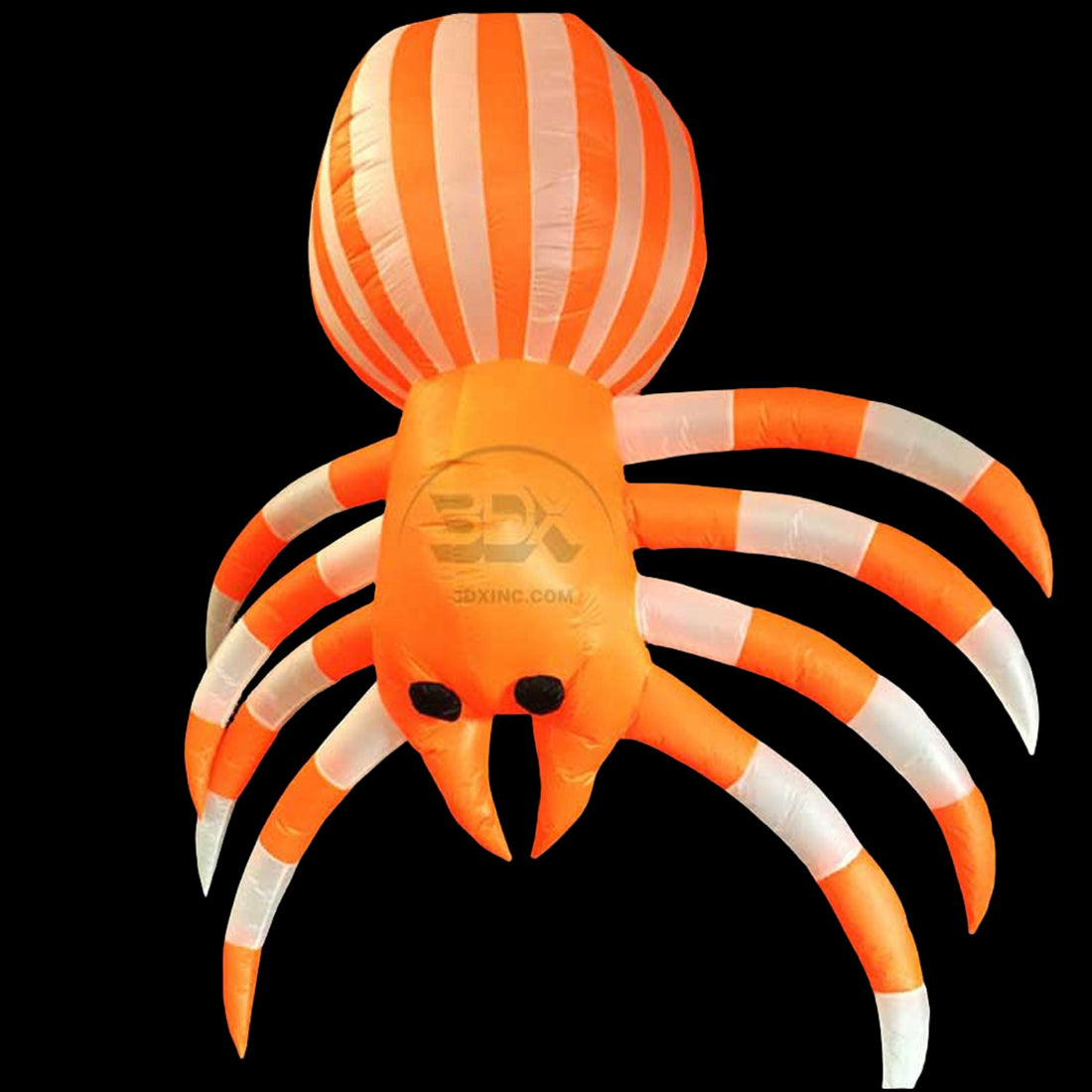 SPIDER - 02 - MED