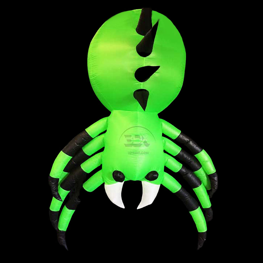 SPIDER - 04 - MED