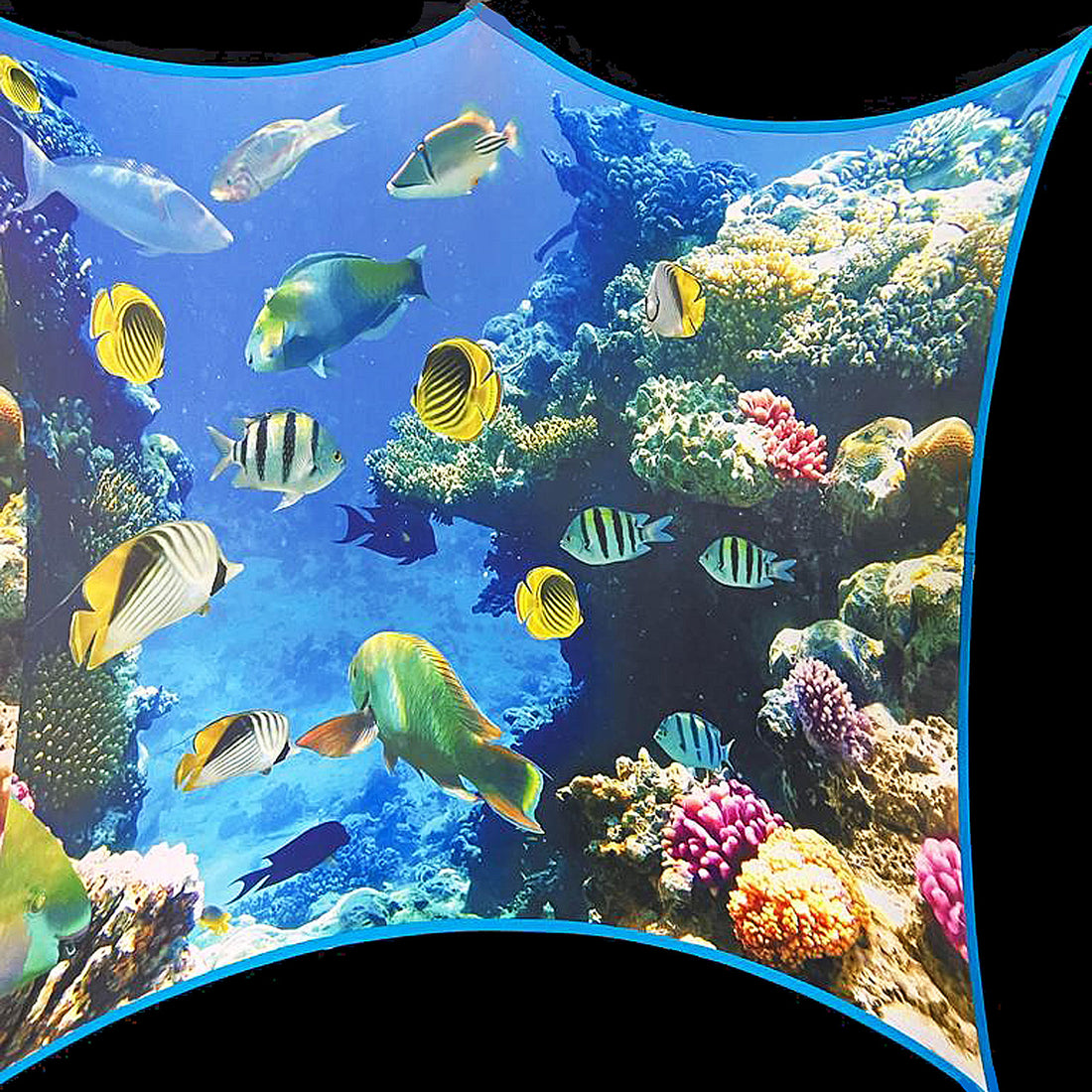 UNDER THE SEA - 11