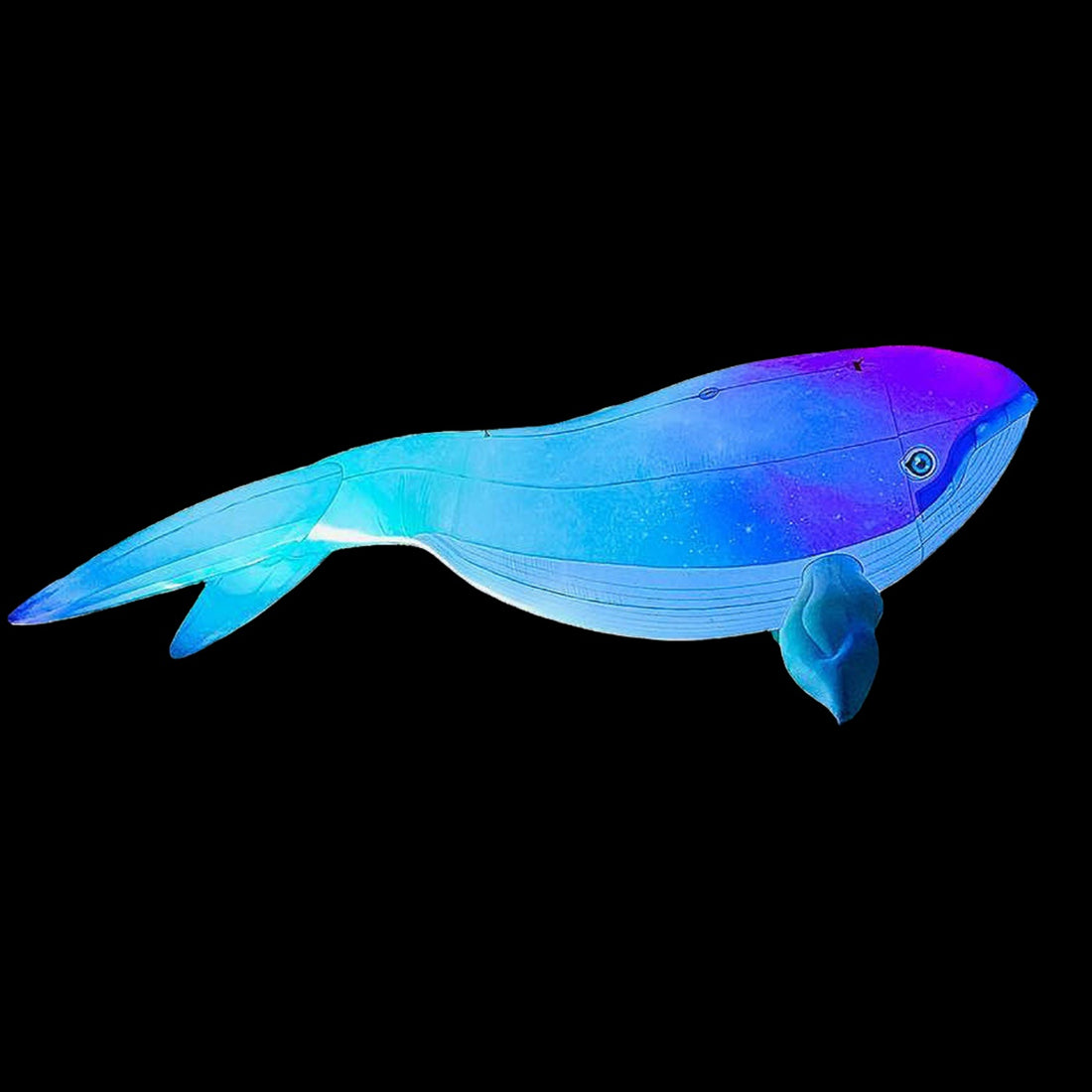 WHALE - 01
