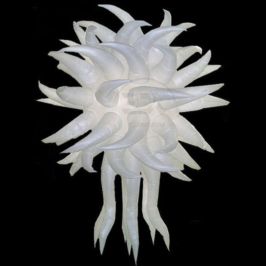 WHITE - 01 - LG