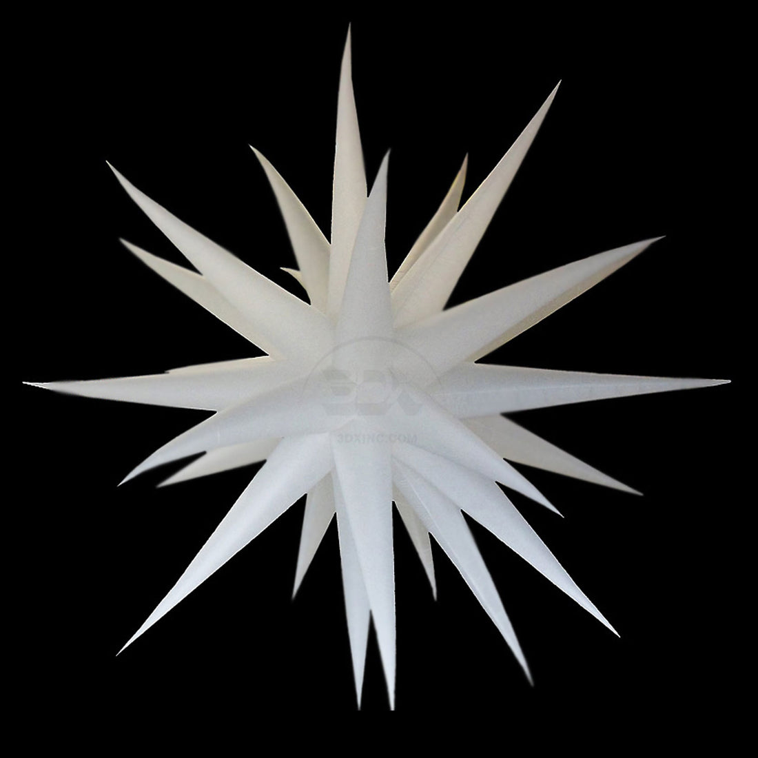 WHITE - 02 - LG