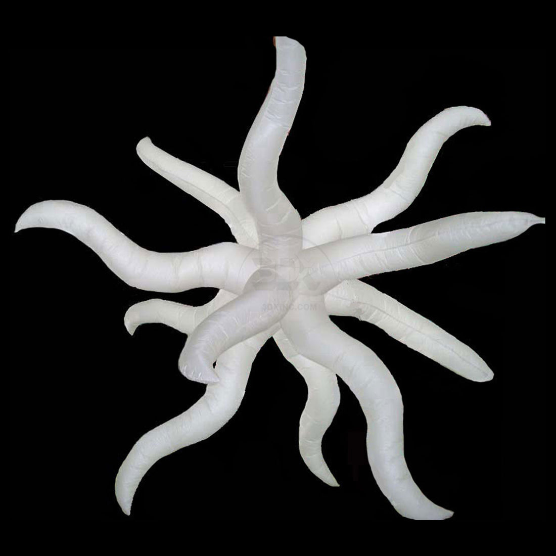 WHITE - 02 - MED