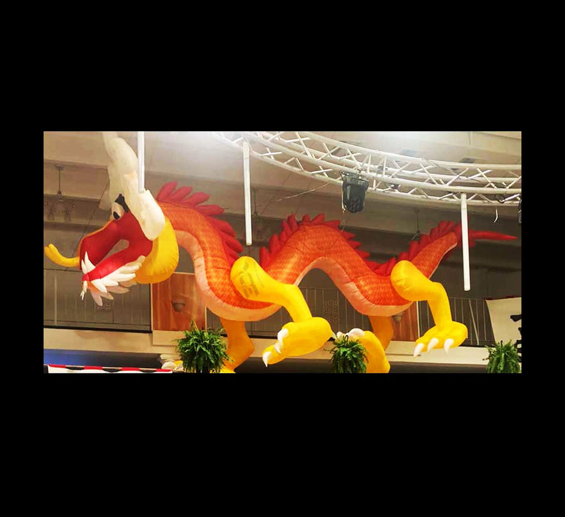 DRAGON - 01 - XL