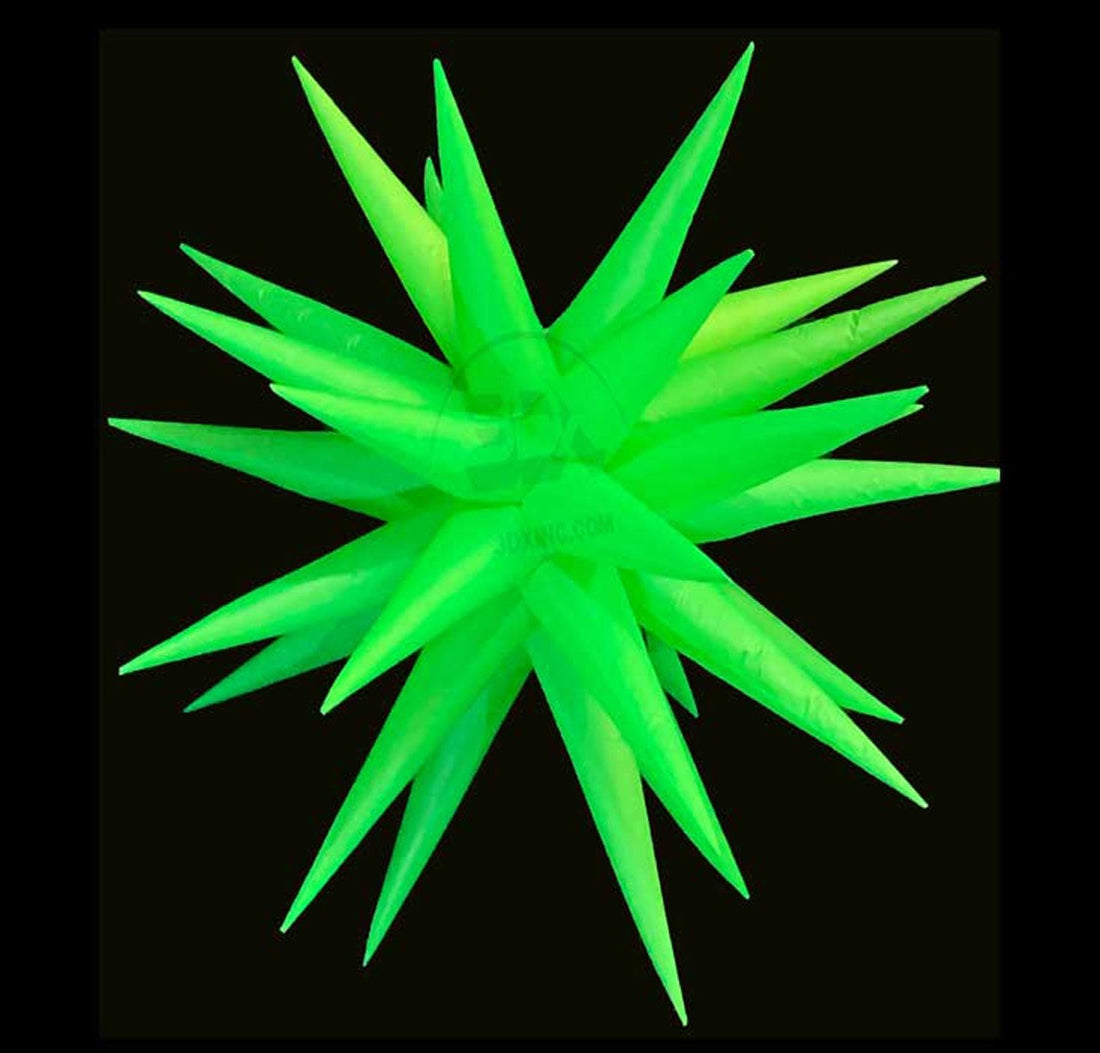 GREEN - 01 - XS
