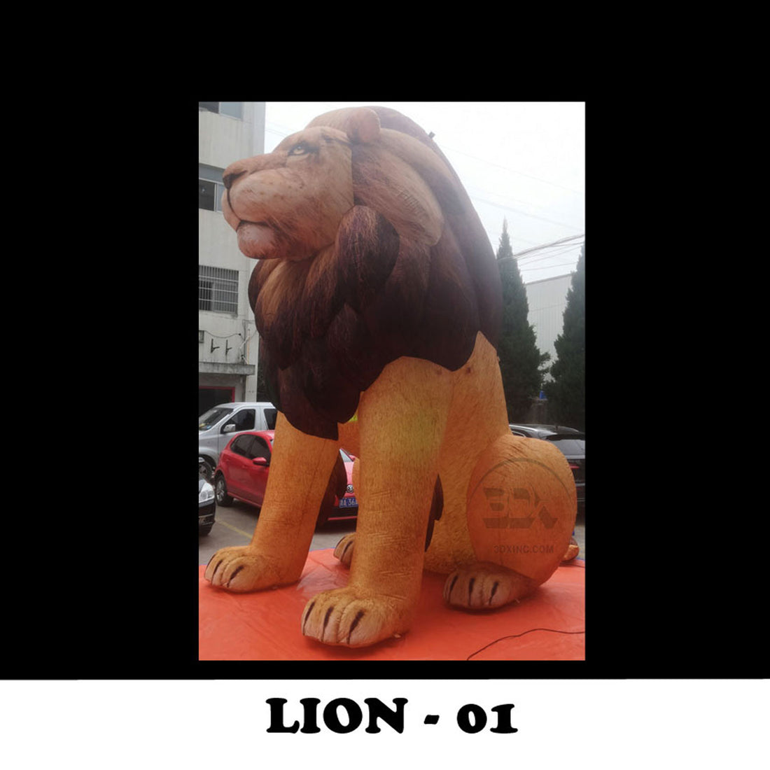 LION - 01