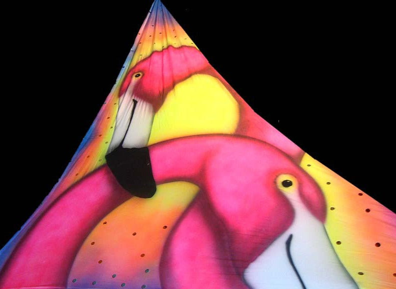ABS-FLAMINGO-06