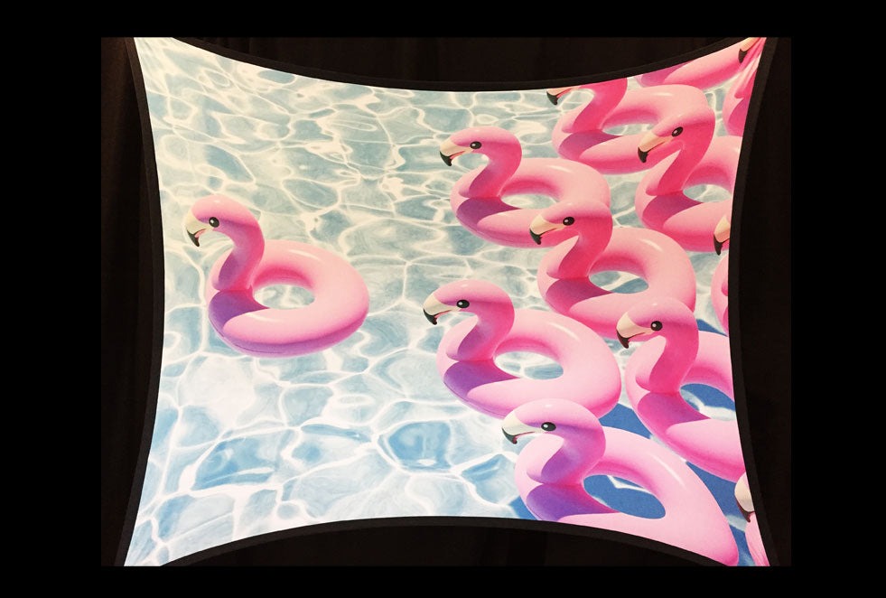FLAMINGO - 03