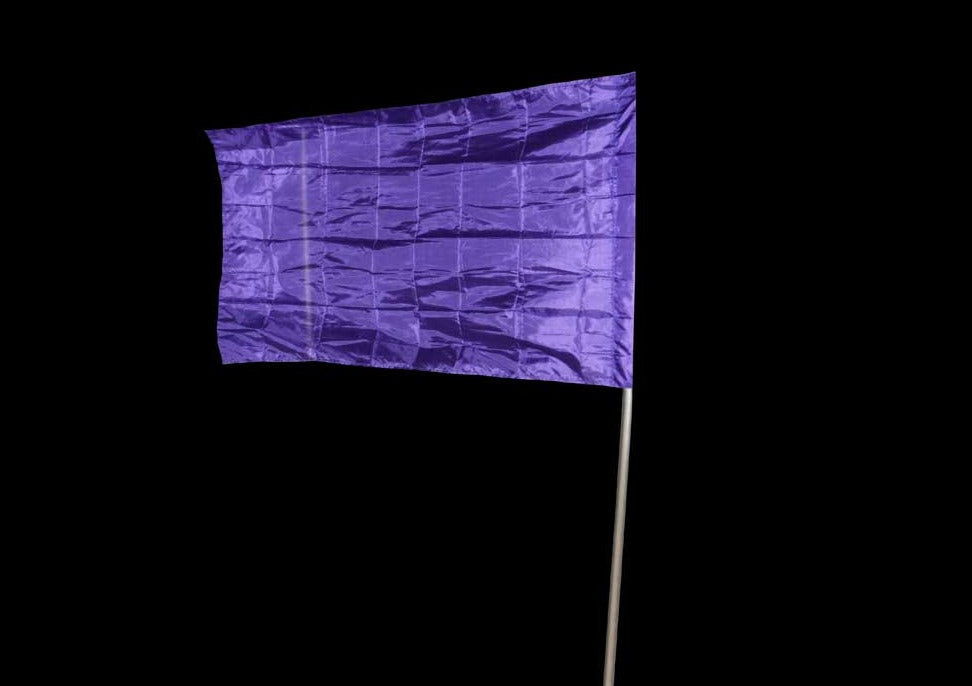 FS - PURPLE - 01