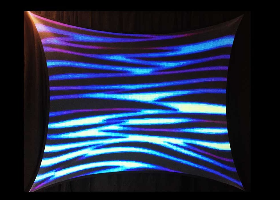 NEON ANIMAL PRINT - 08