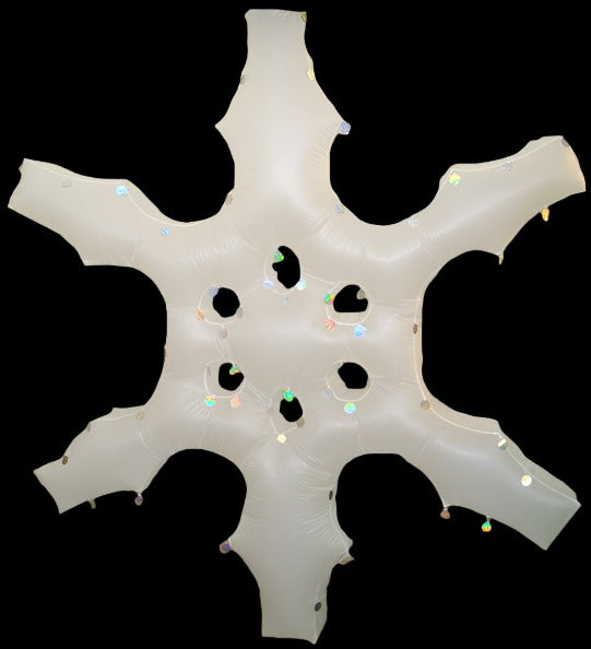 SNOWFLAKE - 01 - SM
