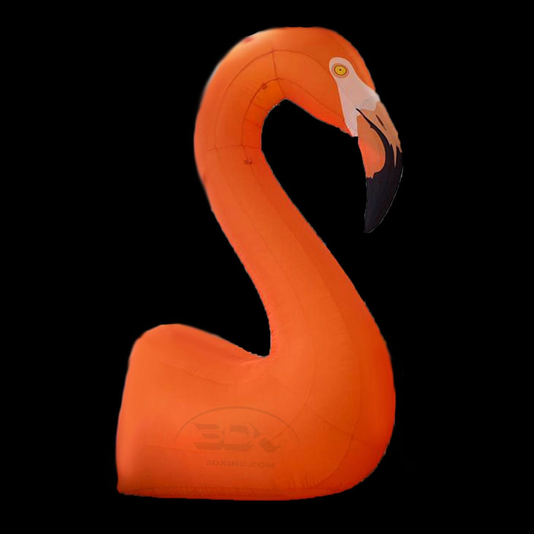 Flamingos