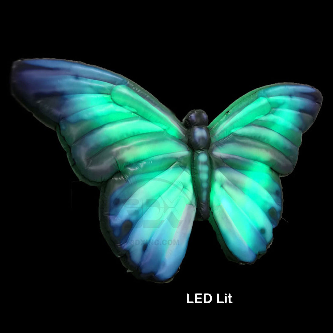 BUTTERFLY - 02