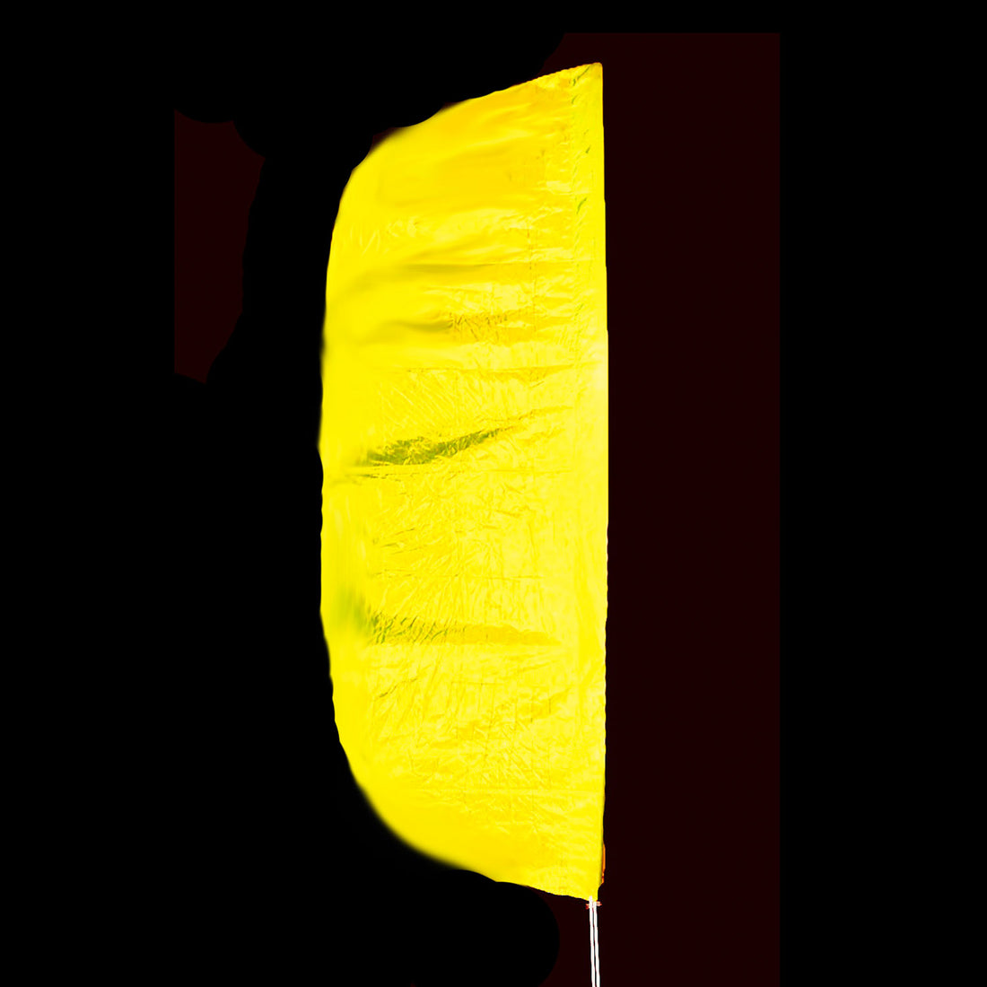 FL - NEON YELLOW - 01