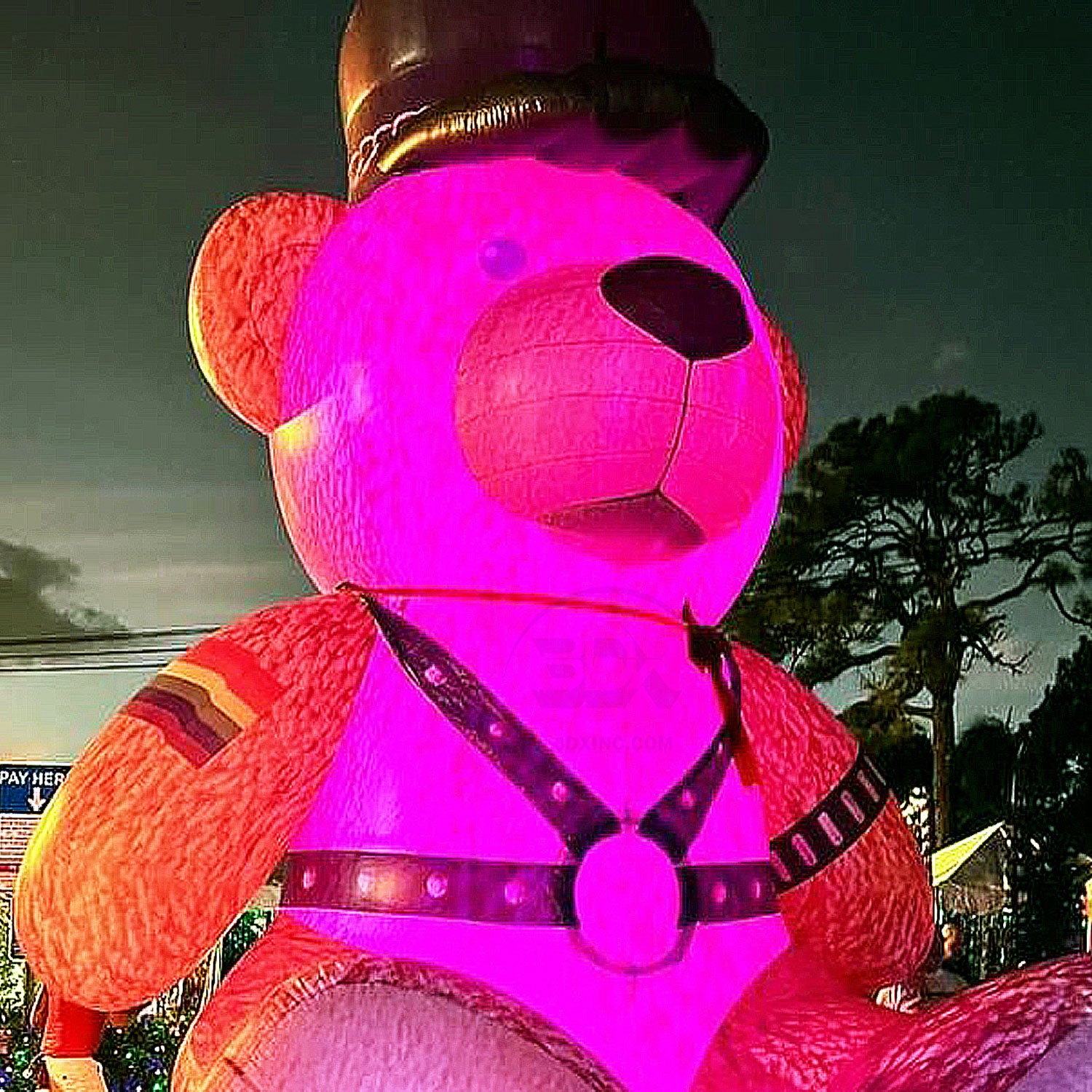 LEATHER BEAR - 01 – 3DX INC.