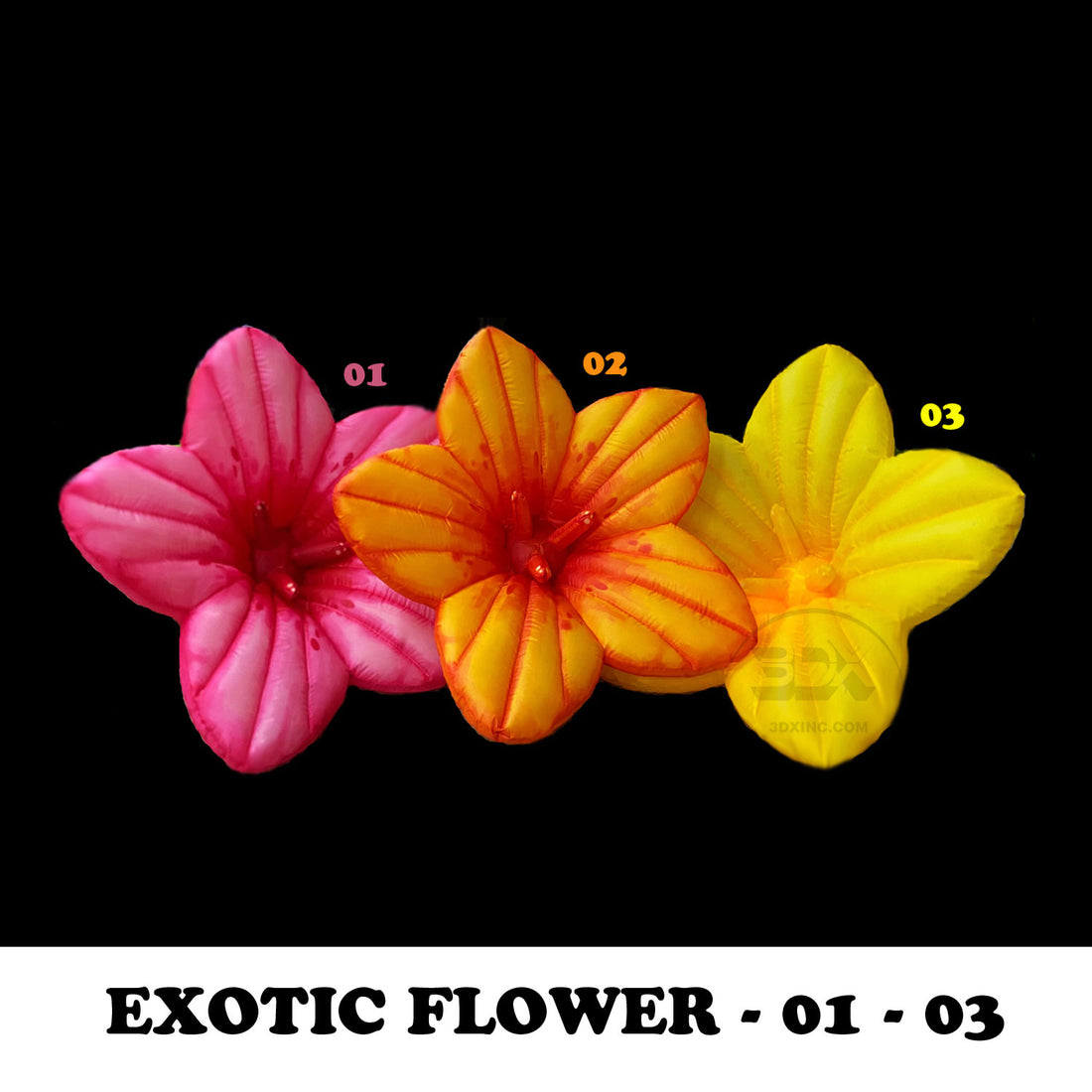 EXOTIC FLOWER - 01 - 03