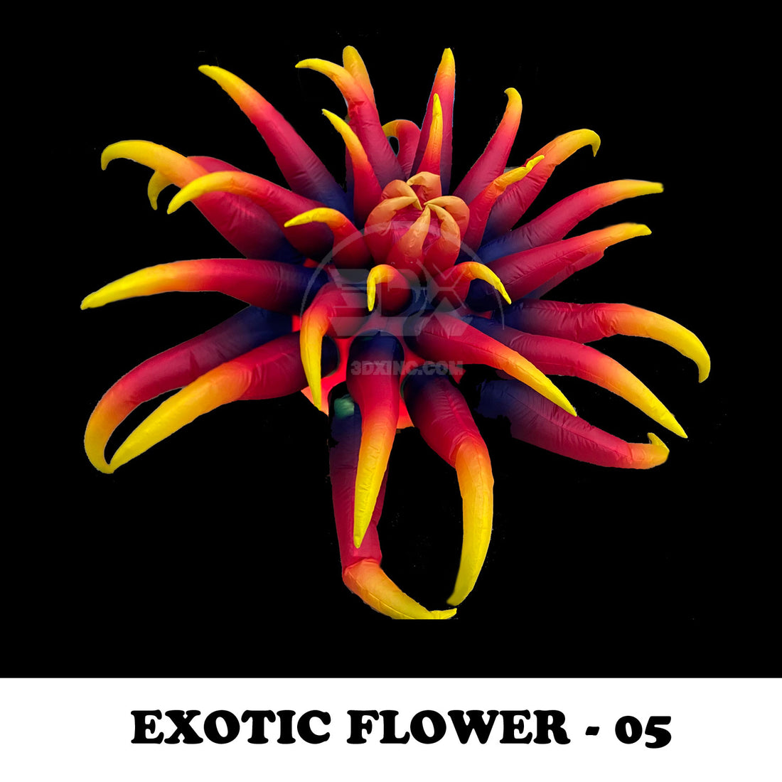 EXOTIC FLOWER - 05