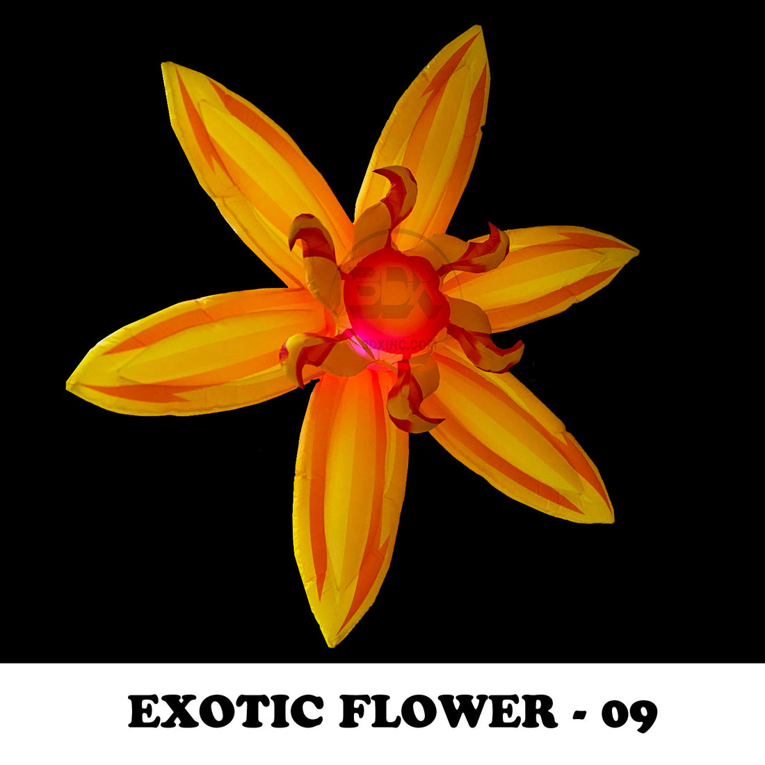 EXOTIC FLOWER - 09