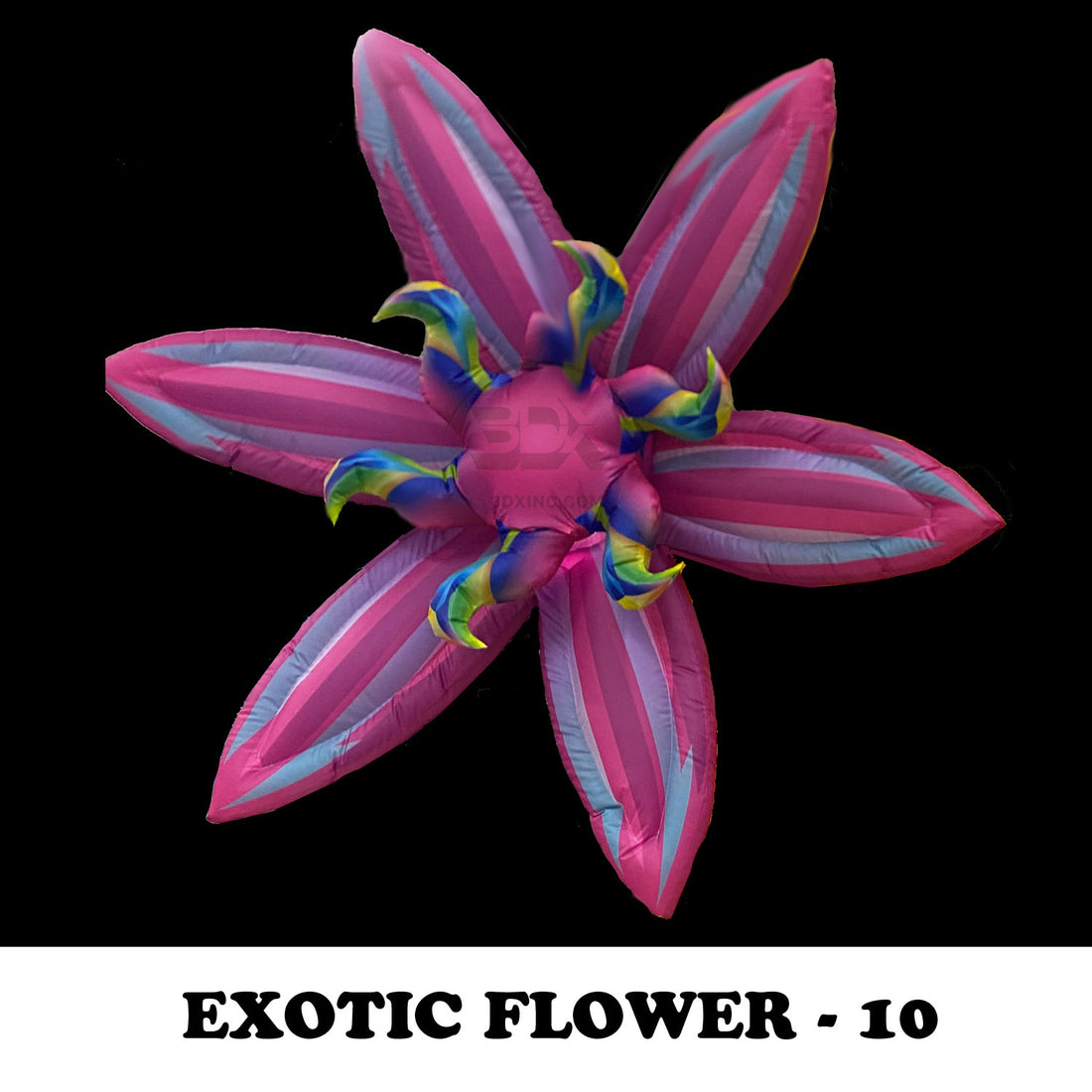 EXOTIC FLOWER - 10