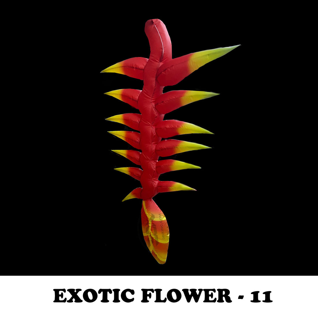 EXOTIC FLOWER - 11