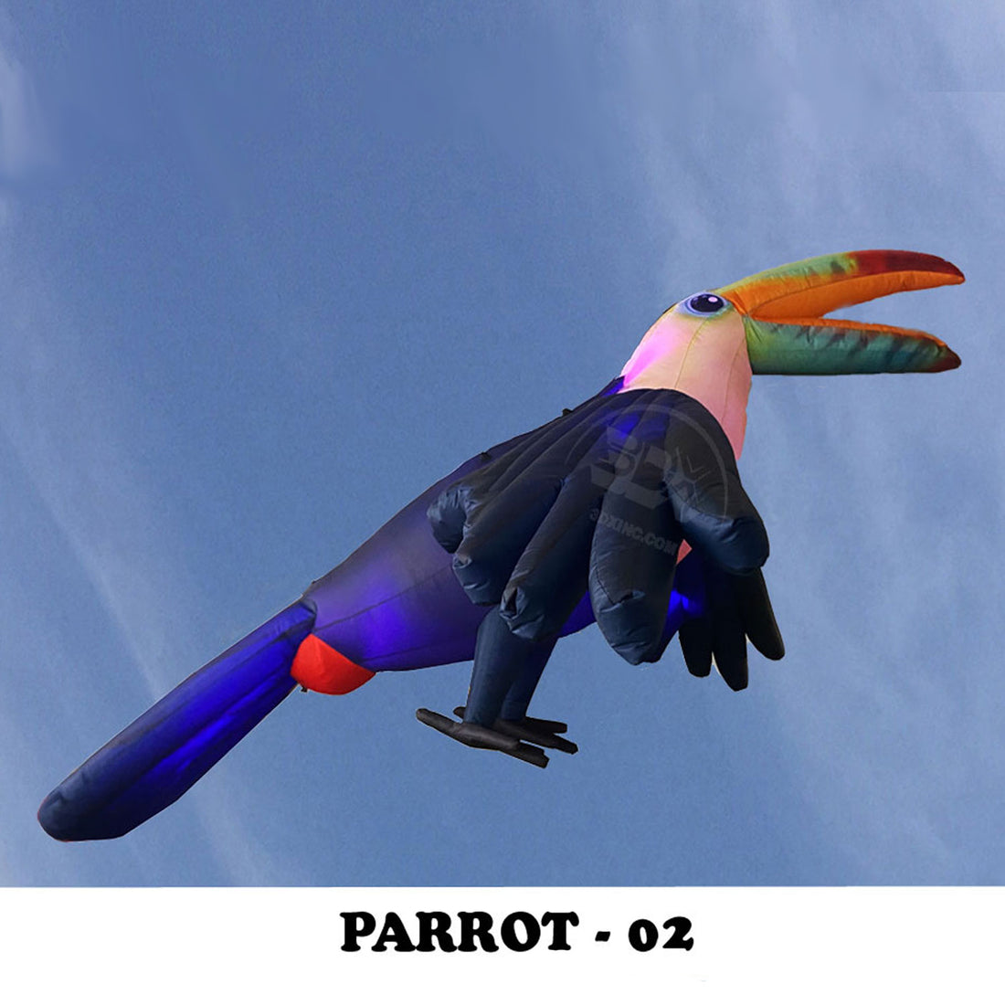 PARROT - 02
