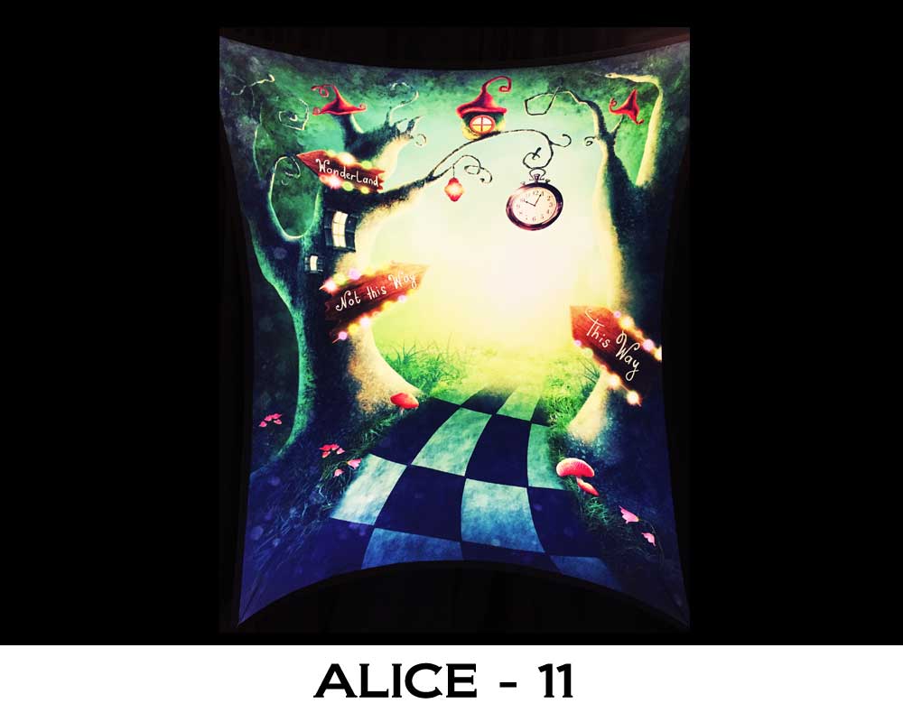 ALICE - 11